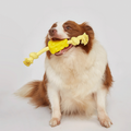 Juguete Interactivo Queso con cuerda Kanu Pet para Perro