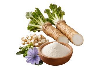 Inulina de achicoria