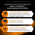 Alimento Para Gato Proplan Veterinary OM