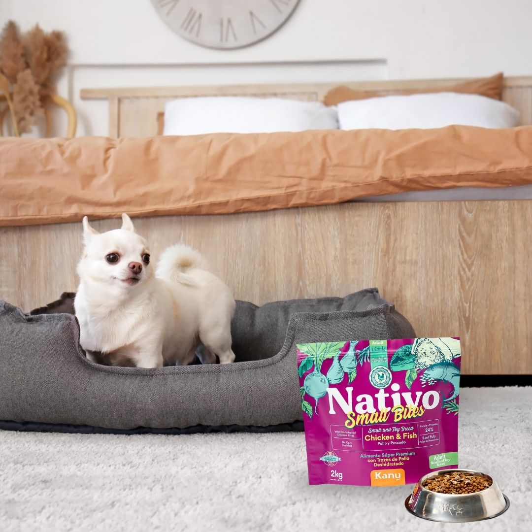 Alimento seco para perro adulto Nativo Small Bites Pollo Kanu Pet