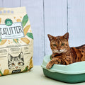 Arena 100% de Maíz Kanu Pet Corn Cat Litter para Gato 100% Ecológíca