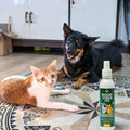 Spray Relajante de CBD Good Vibes para perro y gatos