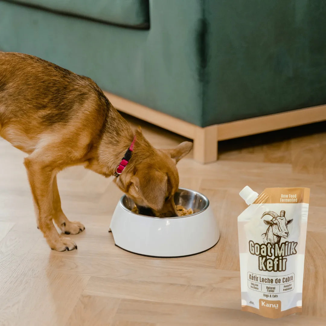 Kéfir Leche De Cabra Natural Kanu Pet Para Perro y Gato Bolsa