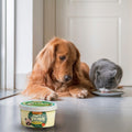 Kanu Helado Chef Recipe Calabaza Para Perro y Gato