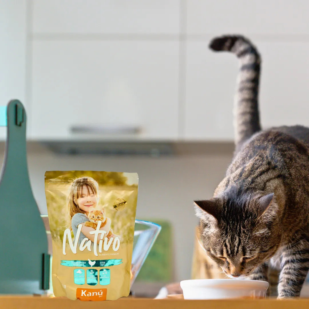 Alimento Seco Nativo Mantenimiento Kanu Pet para Gatitos