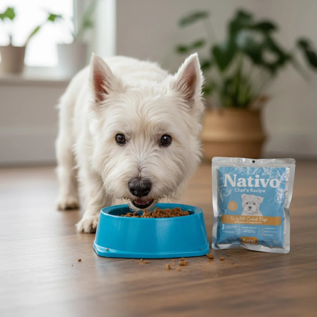 Alimento Húmedo Nativo Chef’s Recipe Pelo Blanco Kanu Pet para Perros