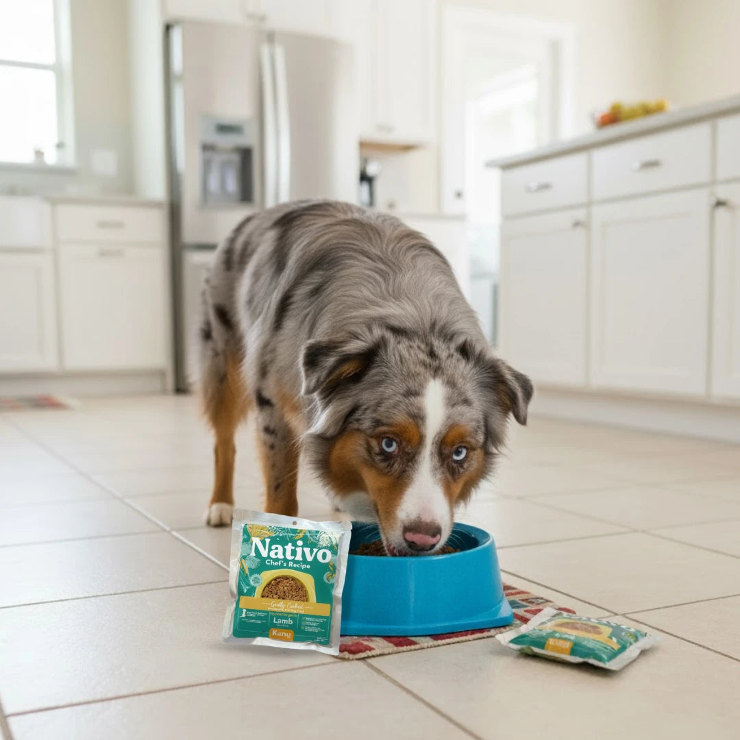 Alimento Húmedo Nativo Chef’s Recipe Cordero Kanu Pet para Perros
