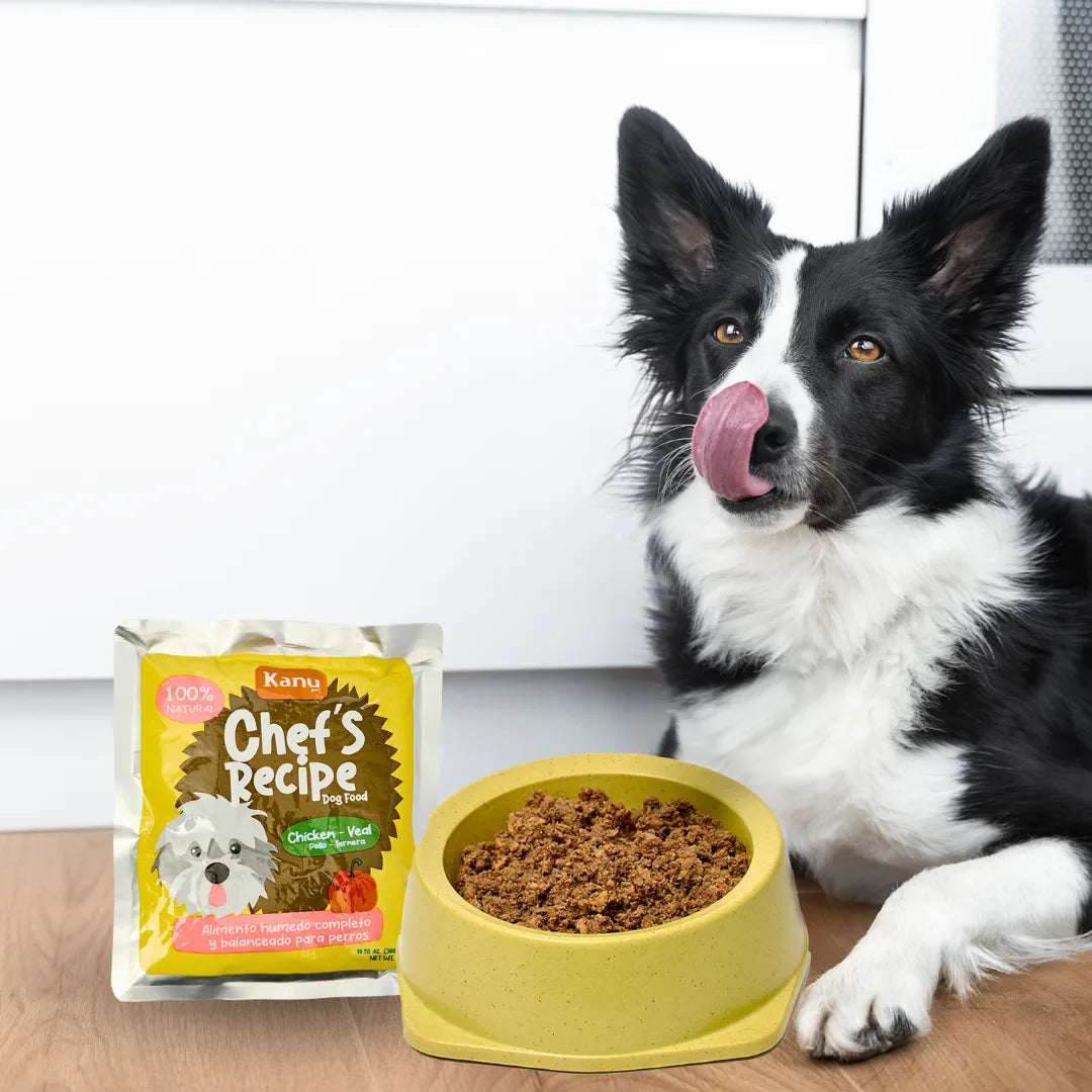 Alimento Húmedo Completo Chef's Recipe Pollo y Ternera Kanu Pet para Perros
