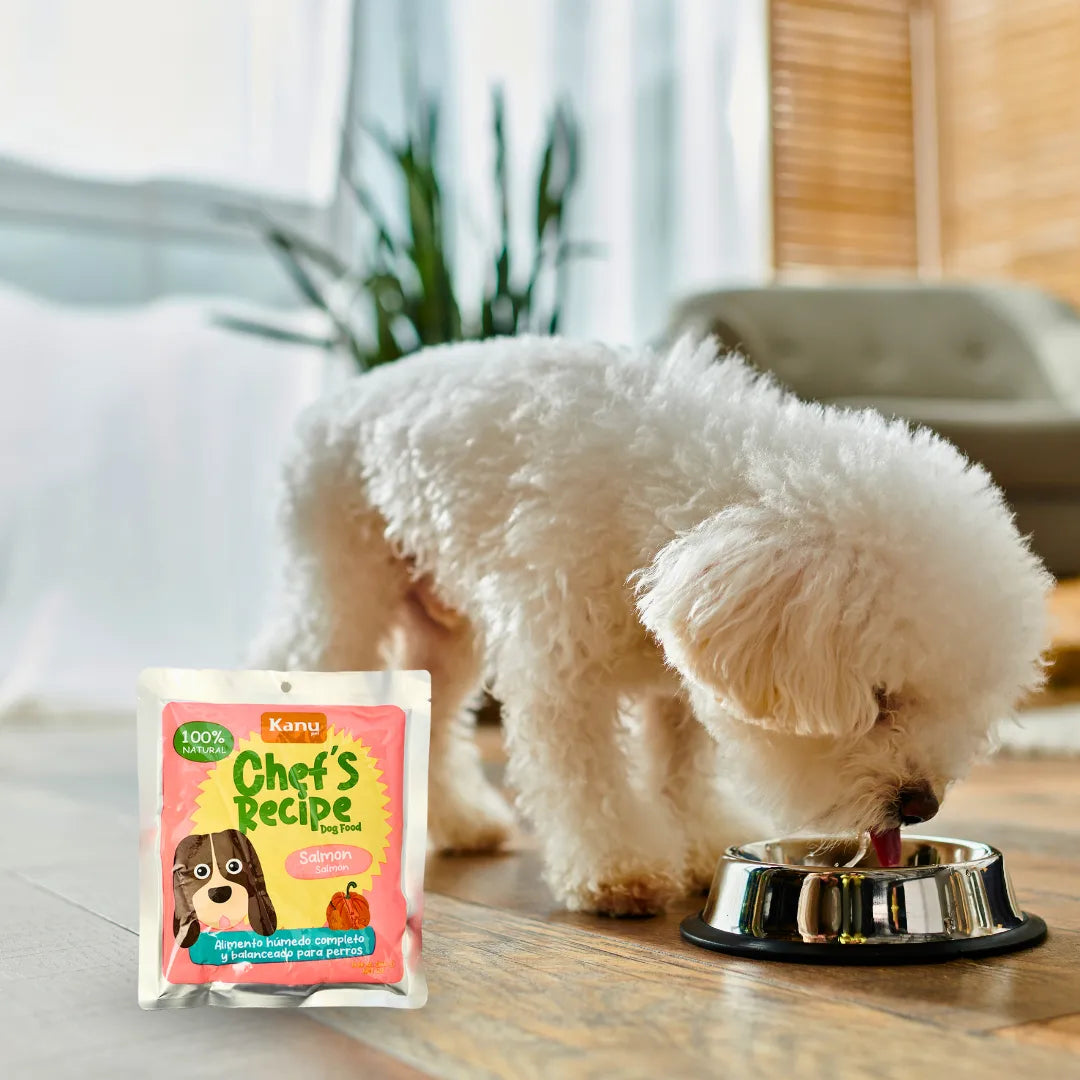 Alimento Húmedo Completo Chef's Recipe Salmón Kanu Pet para Perros