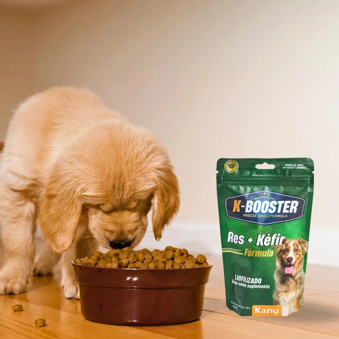 Alimento Liofilizado K-Booster Res Kanu Pet para Perro