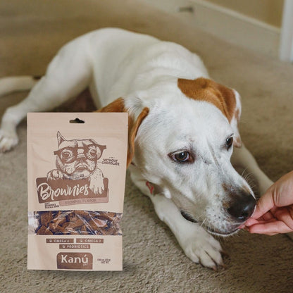 Galletas Brownies Kanu Pet para perros