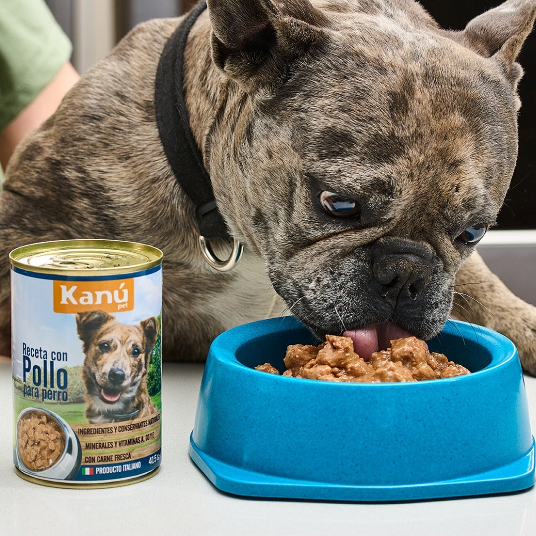 Alimento Húmedo de Pollo para Perro  Kanu Receta Con Pollo