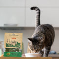 Snacks Galletas Catnip Kanu Pet para Gato