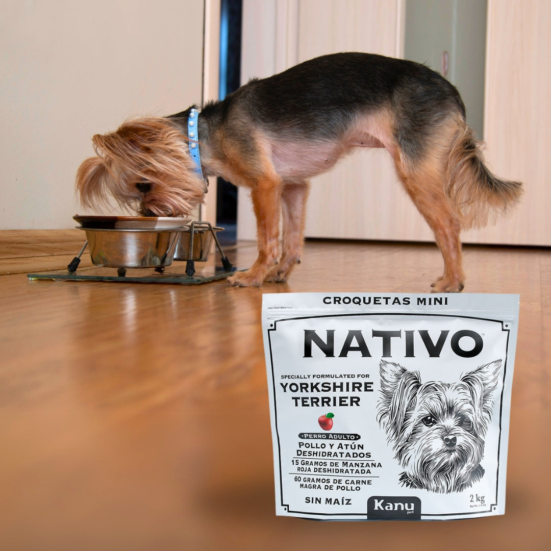 Alimento Nativo Yorkshire Terrier Adulto Kanu Pet para Perro