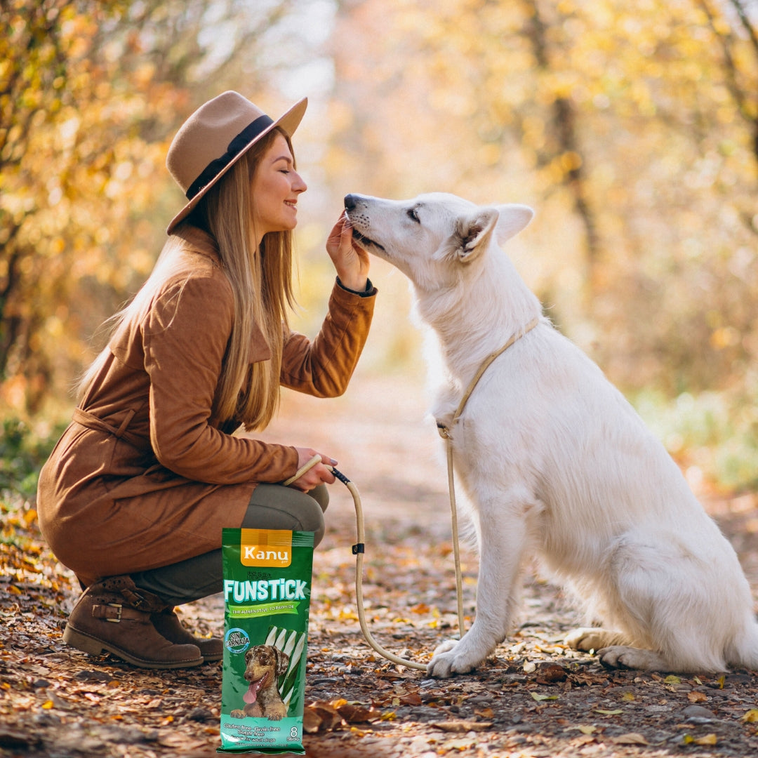 Snack para la placa y el sarro Kanu Pet Oral FunStick x 8 Unds Para Perro Sabor a Menta