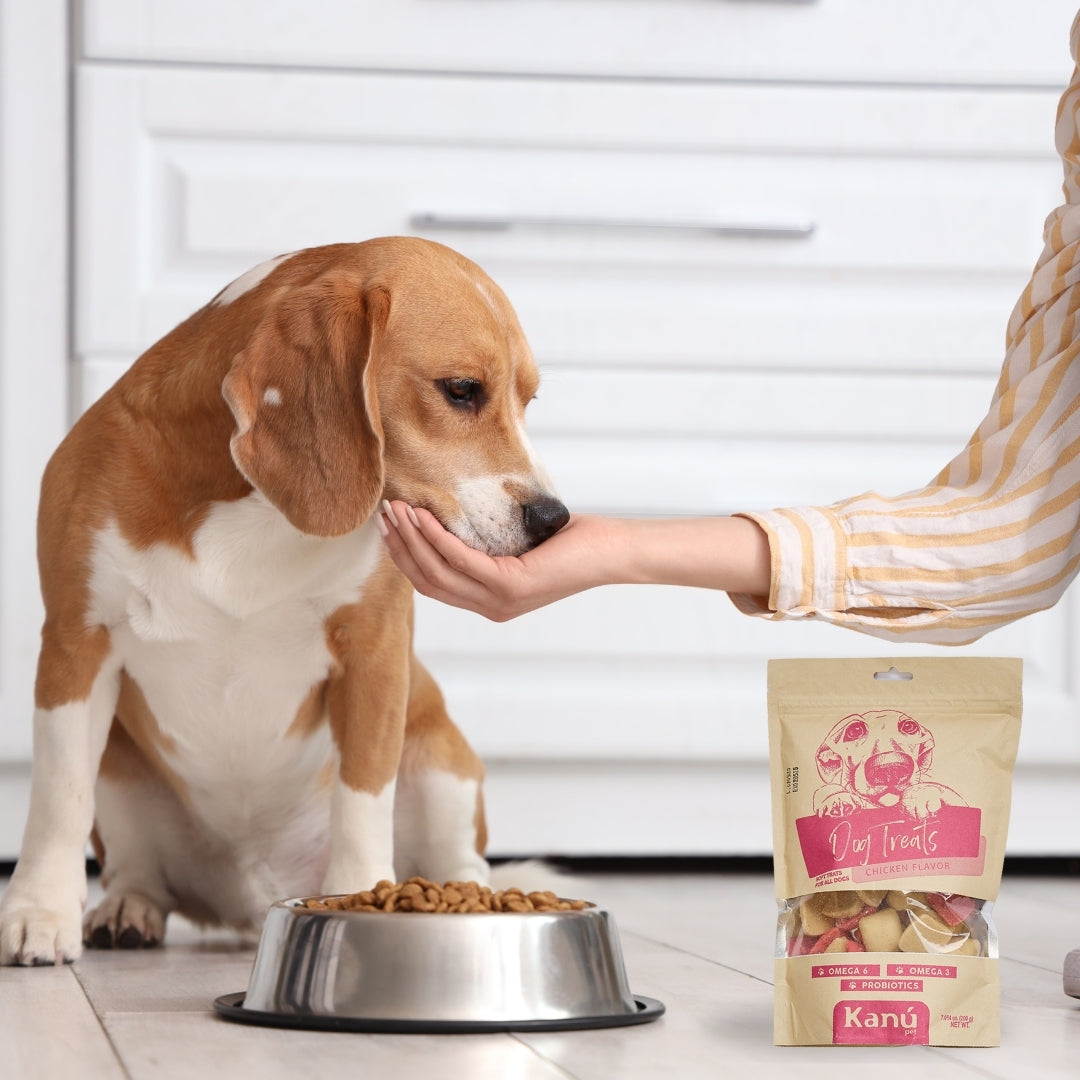 Galletas Sabor a Pollo Kanu Pet para perros