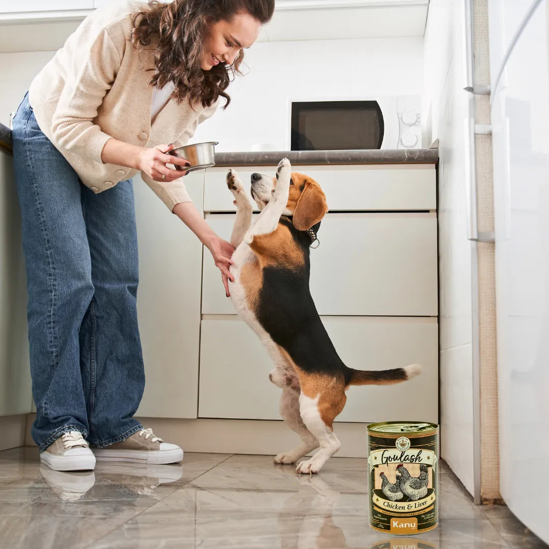 Alimento Húmedo Goulash Pollo y Salmón Kanu Pet para perro adulto Lata