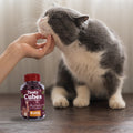 Snack Liofilizado Tasty Cubes Arándanos y Remolacha para Gatos, Bajas en Calorías