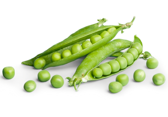 Proteína de Arveja