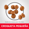 Alimento para Perro Hills Canino Adulto Toy Breed Pollo