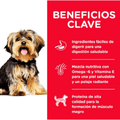 Alimento para Perro Hills Canino Adulto Toy Breed Pollo