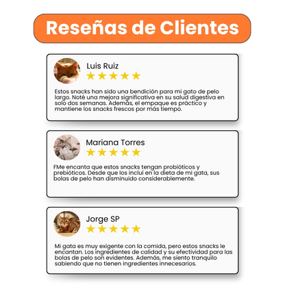 Snacks Nuggets Hairball Control para Gatos