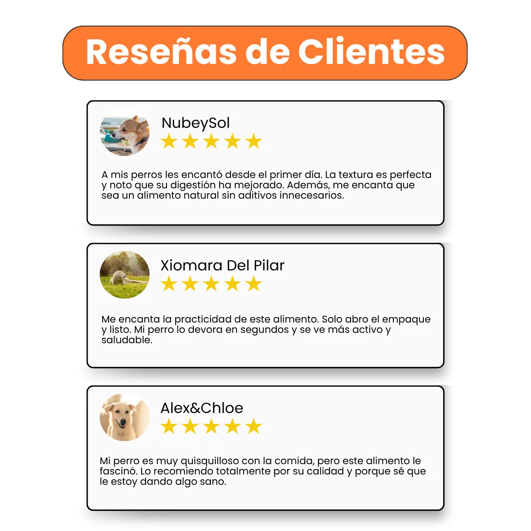 Alimento Húmedo Completo Chef's Recipe Carne de Cerdo Kanu Pet para perros