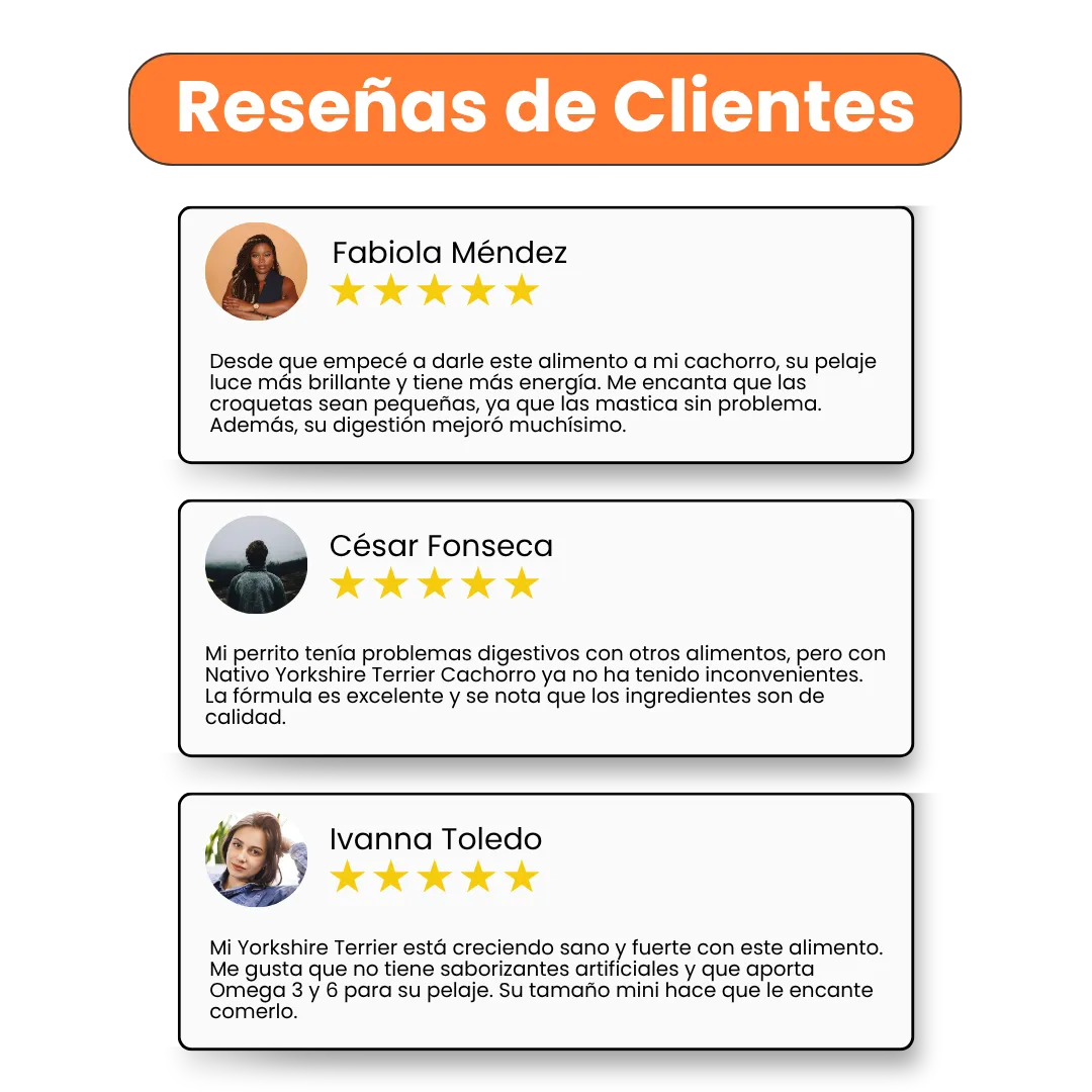 Alimento Seco Nativo Yorkshire Terrier Cachorro Kanu Pet para Perro