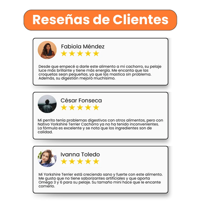 Alimento Seco Nativo Yorkshire Terrier Cachorro Kanu Pet para Perro