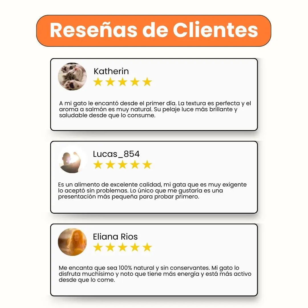 reseñas -Alimento húmedo Chef recipe senior perros toda razas