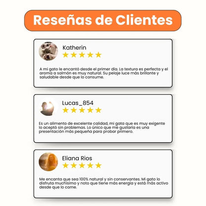 reseñas -Alimento húmedo Chef recipe senior perros toda razas