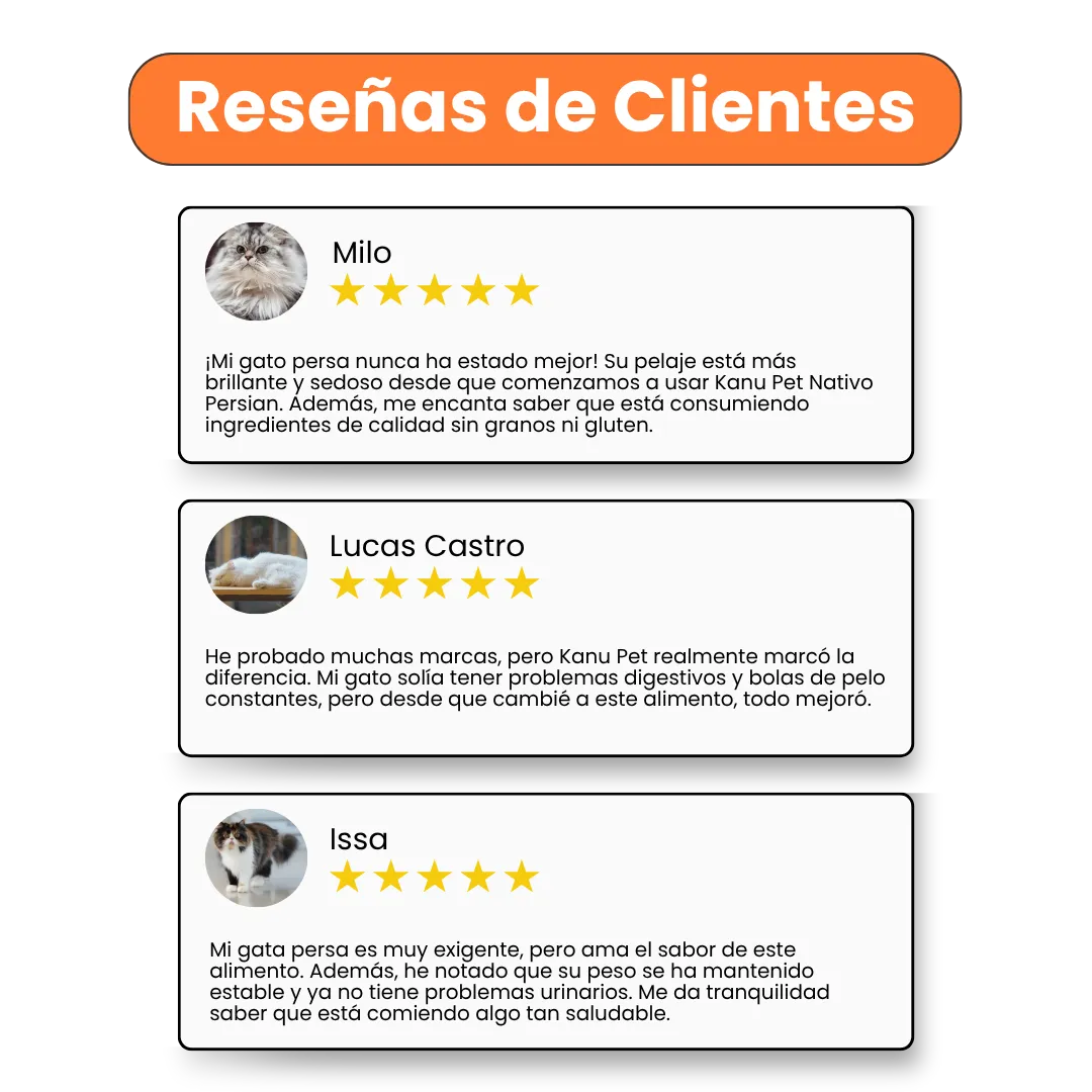 Alimento Seco Nativo Persian Kanu Pet para Gato Adulto