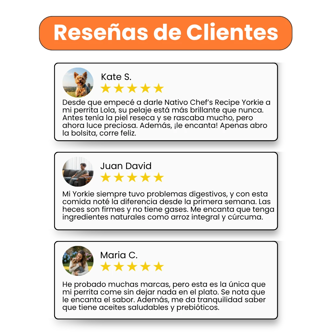 Alimento Húmedo Nativo Chef’s Recipe Yorkshire Terrier Kanu Pet para Perros