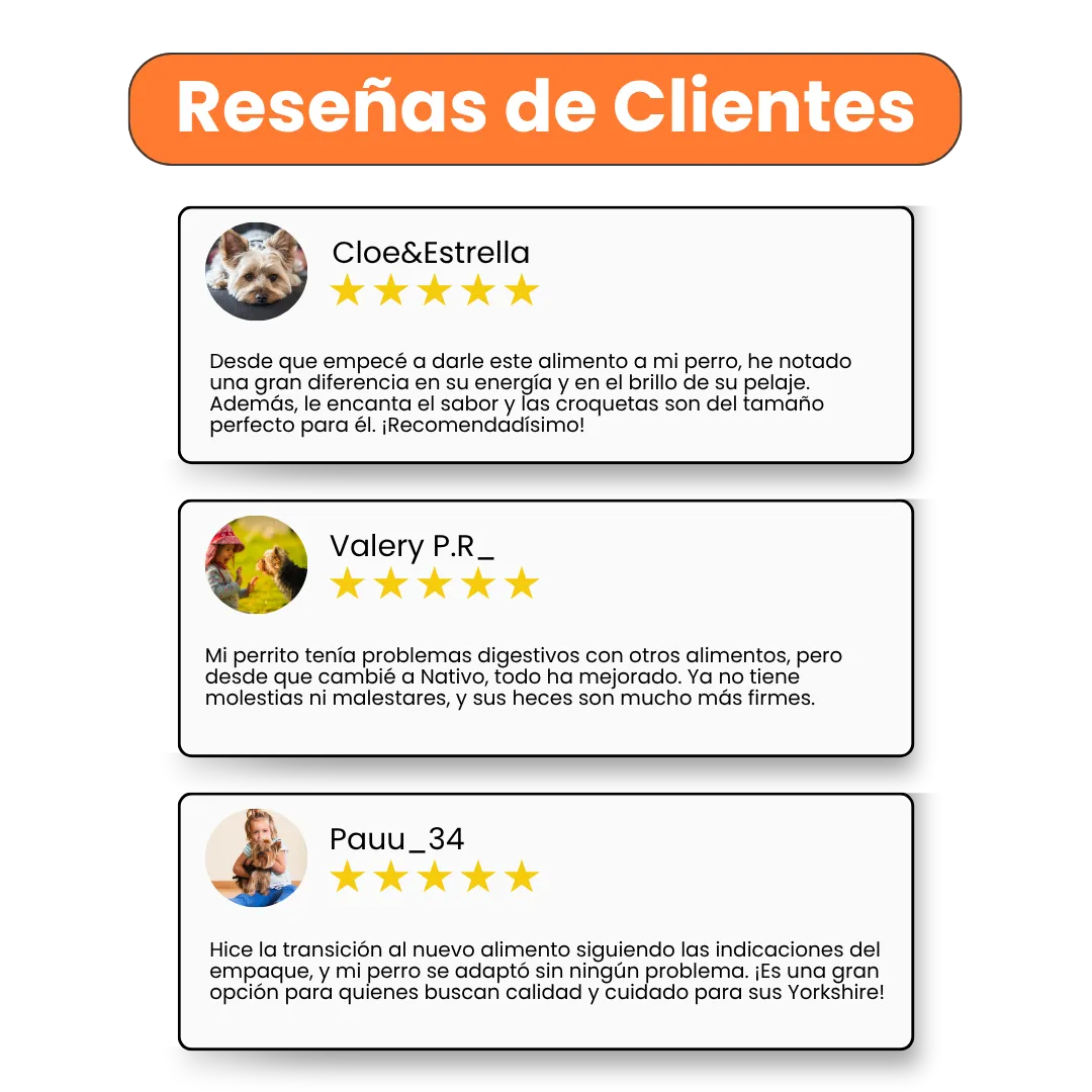 Alimento Seco Nativo Yorkshire Terrier Adulto Kanu Pet para Perro