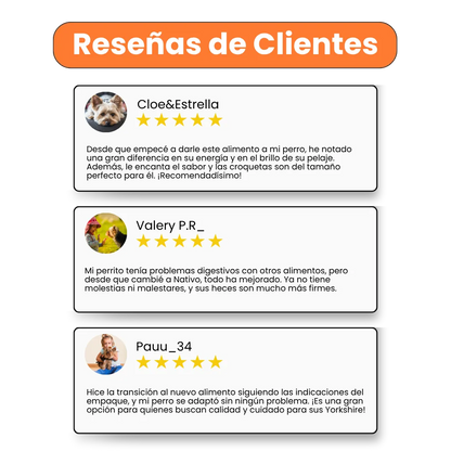 Alimento Seco Nativo Yorkshire Terrier Adulto Kanu Pet para Perro