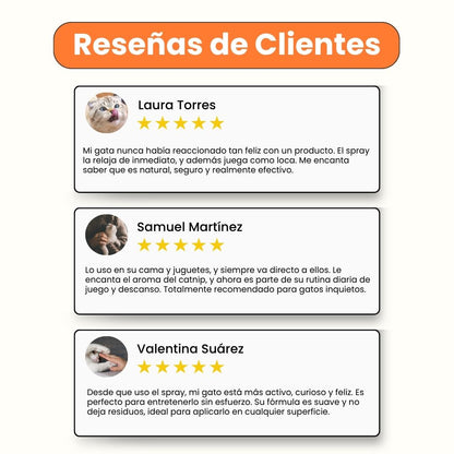 Spray de Hierba Gatuna Kanu Pet Catnip Bliss para Gatos