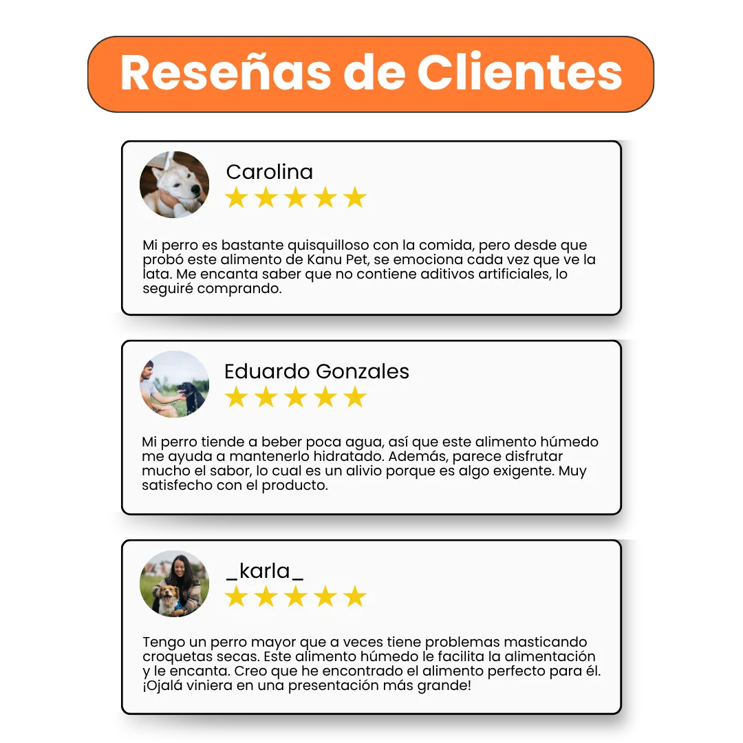 Alimento Húmedo Goulash Pollo y Salmón Kanu Pet para perro adulto Lata