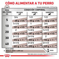 Alimento para perro Royal canin Lata Hepatic