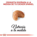 Alimento para perro Royal Canin Cocker