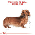 Alimento para perro Royal Canin Dachshund