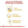 Alimento para perro Royal Canin Shih Tzu Especial Pack