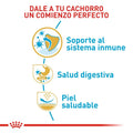Alimento Para Perro Royal Canin Bulldog Frances Puppy 3 KG Obsequio 1.3 KG
