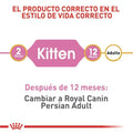 Alimento para gato Royal Canin Persa Cachorro
