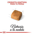 Alimento para gato Royal Canin Persa Cachorro