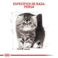 Alimento para gato Royal Canin Persa Cachorro