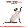 Alimento para gato Royal Canin Siames