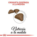 Alimento para gato Royal Canin Hairball Control