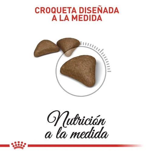 Alimento para gato Royal Canin Hairball Control