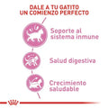 Alimento para gato Royal Canin Kitten