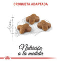 Alimento para gato Royal Canin Kitten